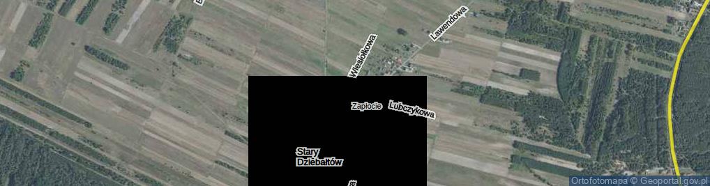 Zdjęcie satelitarne Stary Dziebałtów ul.